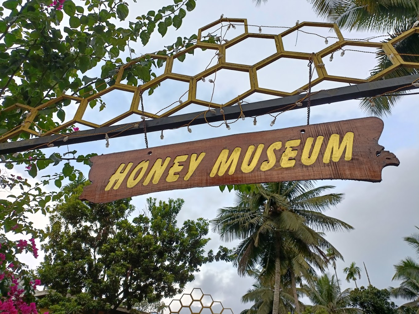 Honey Museum Wayanad