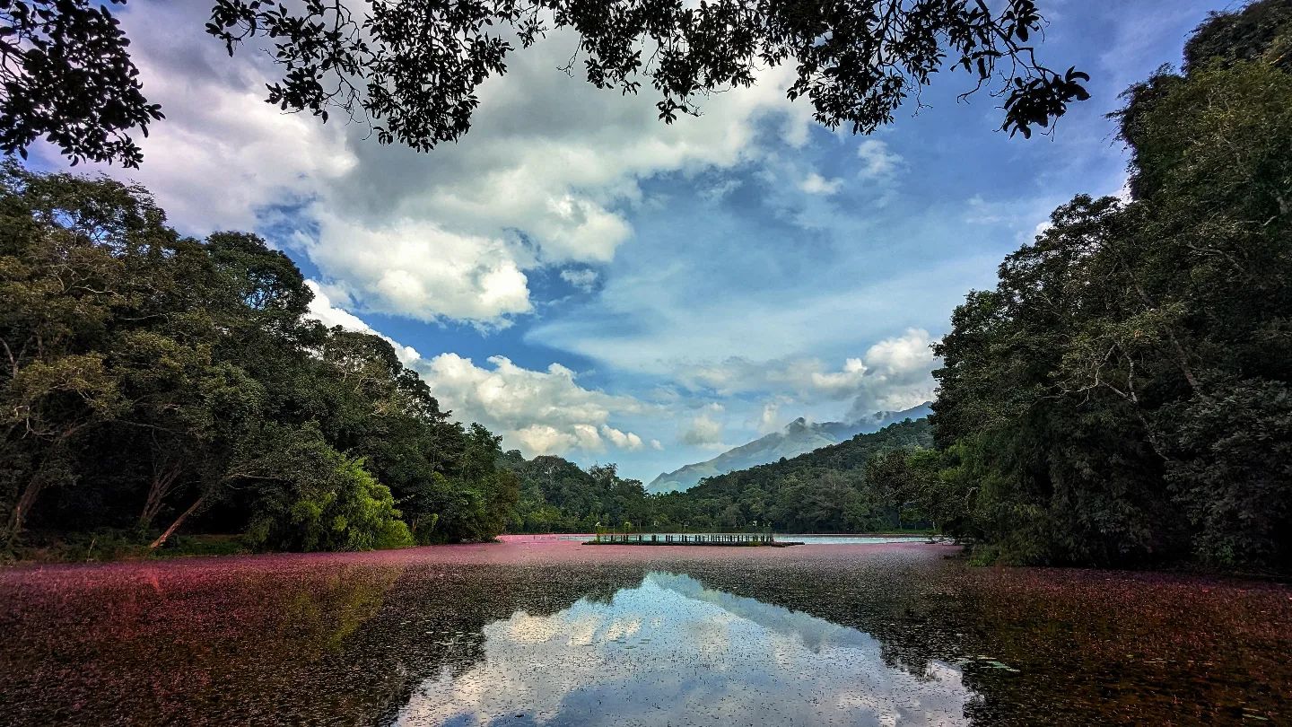 Pookode Lake
