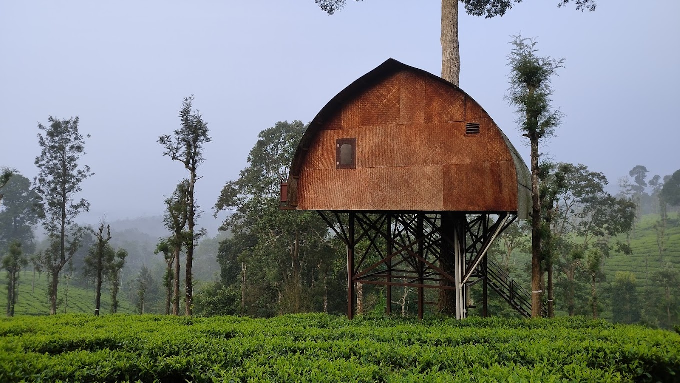 Priyadarshini Tea Environs