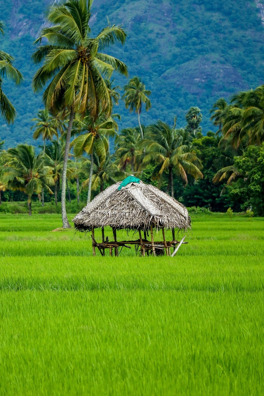 Wayanad