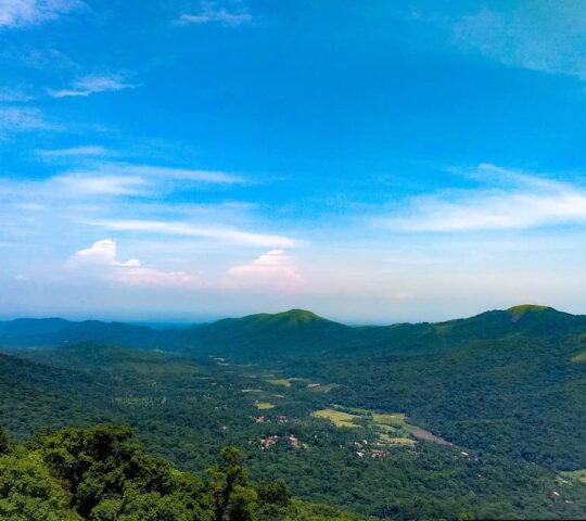 Pakshipathalam Bird Sanctuary