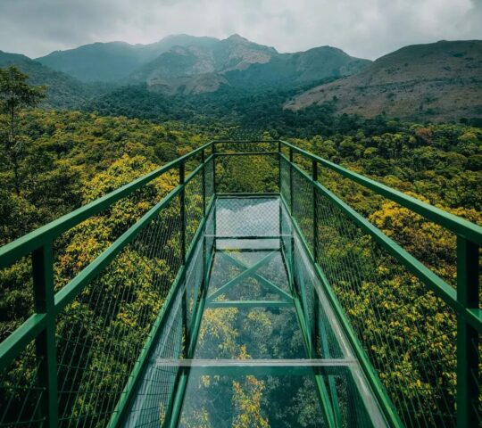 900 Kandi Glass Bridge