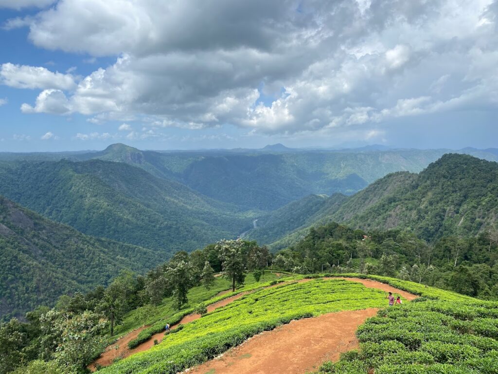 Attamala Viewpoint