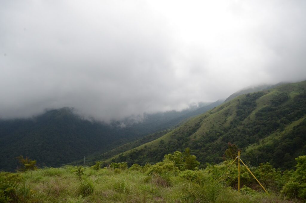 Pakshipathalam Bird Sanctuary