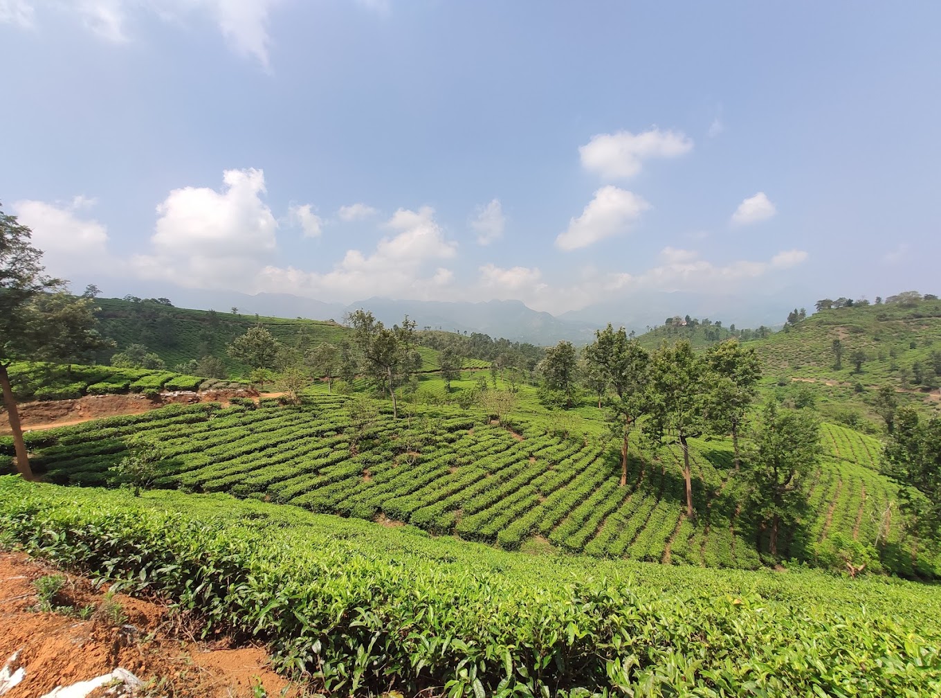 Attamala Viewpoint