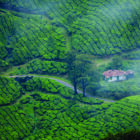 Hiking in Wayanad