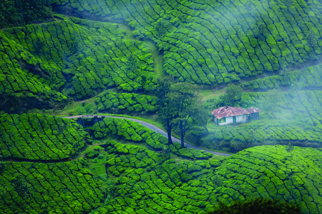 Wayanad Tourist Places: Ultimate Guide to Kerala’s Hidden Gem