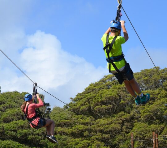 Ziplines in Wayanad