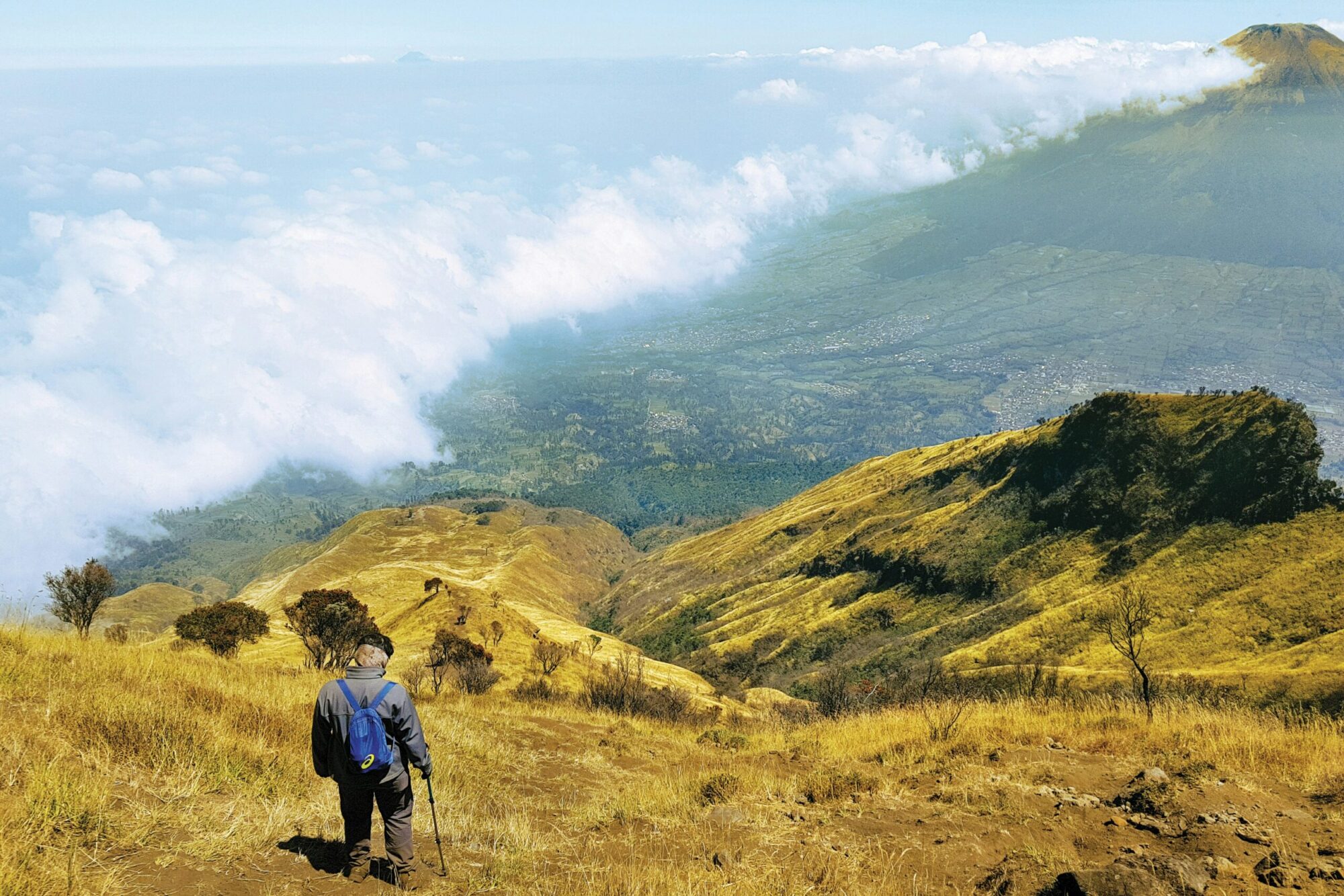 Hiking in Wayanad