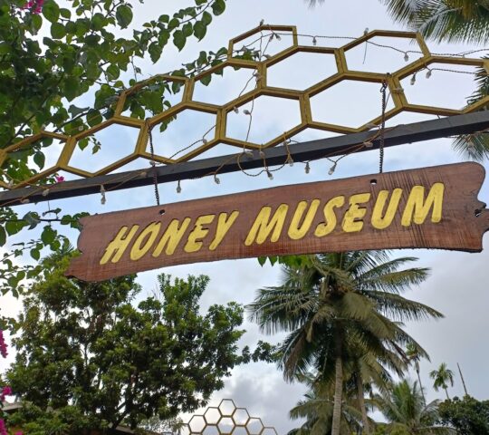 Honey Museum Wayanad